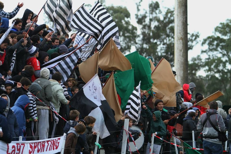 MDQ