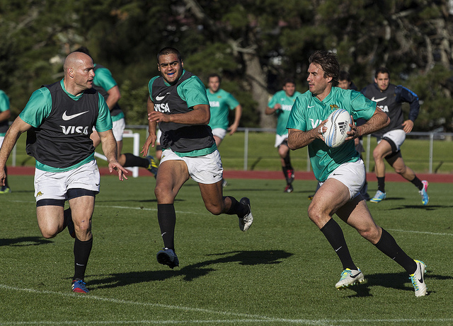 Bosch Auckland