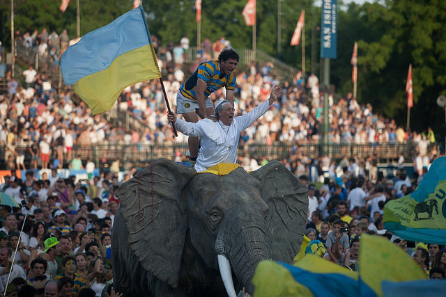 Elefante 14
