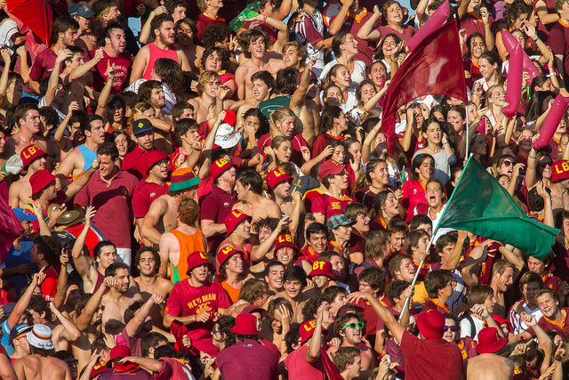Newman hinchada