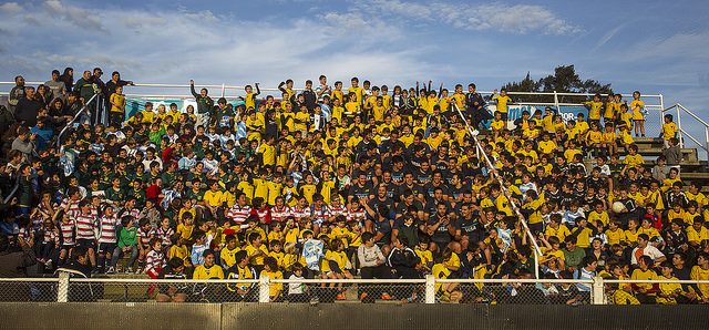 Pumas pibes